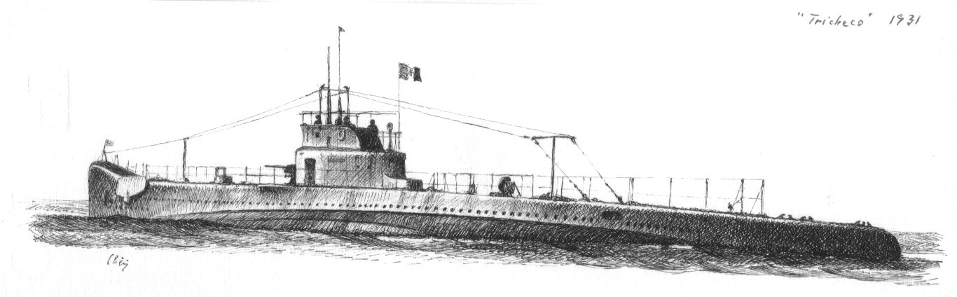 1931 - 'Tricheco'